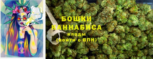 spice Аркадак
