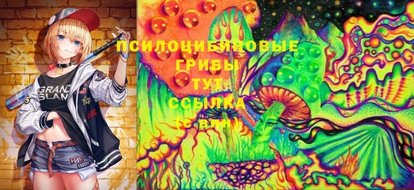 соль ск Балабаново